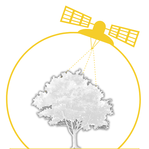 Phytospatial Logo